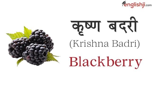 Fruits Name with Pictures in Hindi & English | फलो के नाम हिंदी और अंग्रेजी में смотреть онлайн