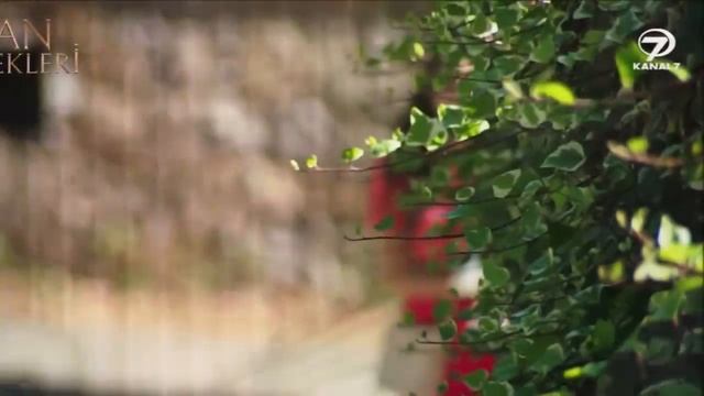 KAN ÇİÇEKLERİ 188 - La felicidad en tus ojos lo vale todo. смотреть онлайн