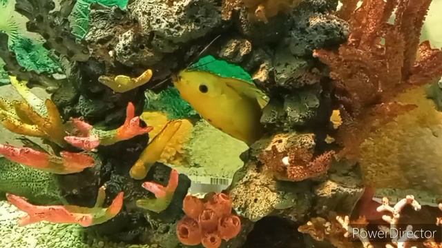 По Геленджику - часть 1 смотреть онлайн