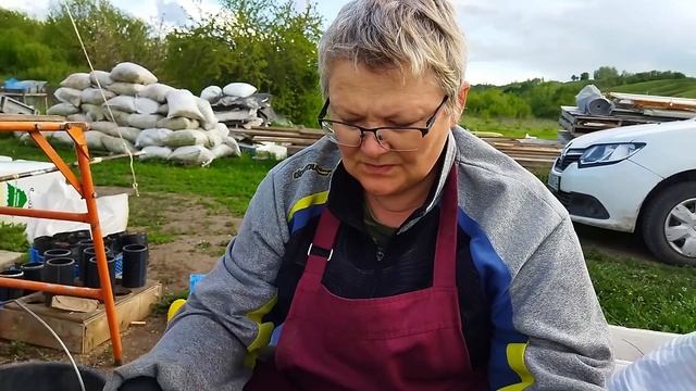 Формировка рядов ремонтантной малины на участке в пригороде Воронежа смотреть онлайн