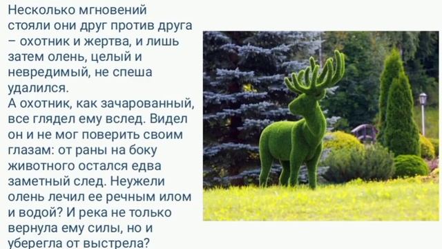 Тропинки родного края Санаторий "Красноусольск" смотреть онлайн