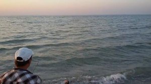 Как на что ловить кефаль