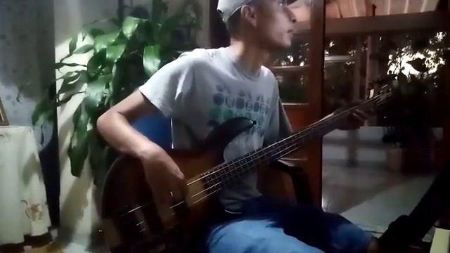 bassfitness 1 смотреть онлайн