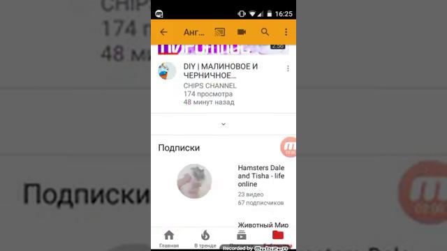 Новости канала, срочно! Смотреть всем подписчикам!!!! смотреть онлайн