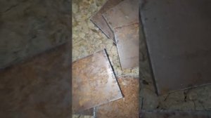 Device for plasma cutter. Плазморез, приспособление для плазмореза. Режим листовой металл 14мм.