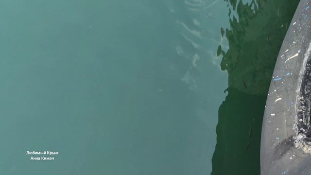 Прогулка по Евпатории, 23 августа 2021. Яхт- Клуб. Морпорт. смотреть онлайн