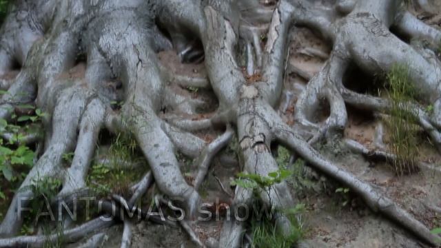 ЧТО ЖДЕТ САЛЬВАДОР / BITCOIN / ПЕРВАЯ В МИРЕ КРИПТОСТРАНА / КРИПТОГОСУДАРСТВО / СТОЛИЦА БИТКОЙНА смотреть онлайн