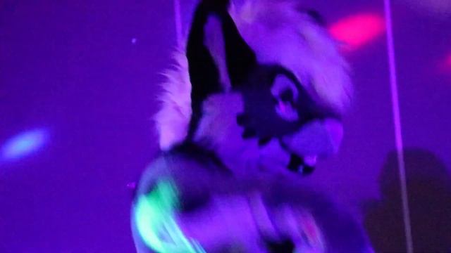 NEONFUR 2019 - FRIDAY NIGHT DANCE смотреть онлайн
