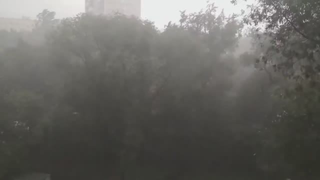 Дмитрий TV. Клип "Шторм" в исполнении Ванессы Мэй. смотреть онлайн