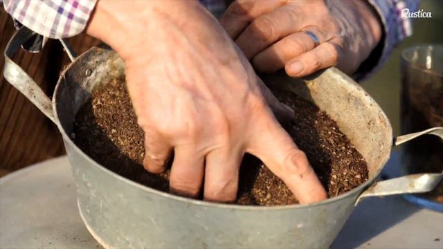 Semer De La Lavande De Mer