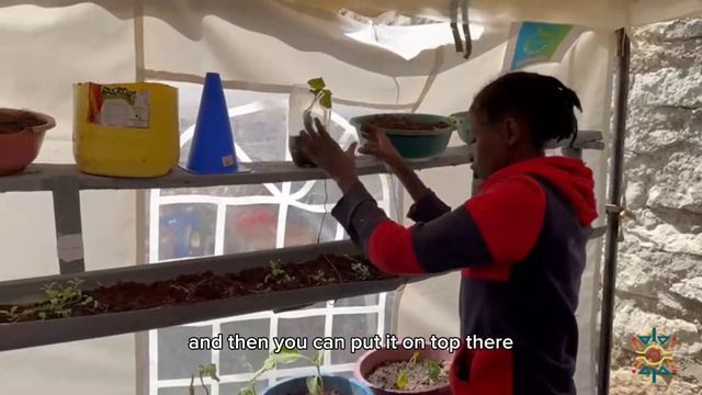 RUIRU HUB COHORT 1 (SIRI FUCHSIA) - VERTICAL FARMING смотреть онлайн