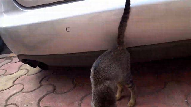 МУМБАЙ в который хочется ВЕРНУТЬСЯ смотреть онлайн