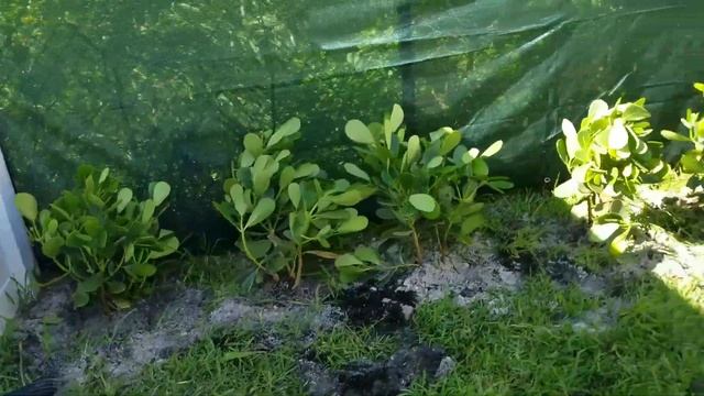 Auger digging holes super fast EA 410 part 2 смотреть онлайн