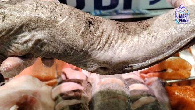 Зубатка полосатая без головы