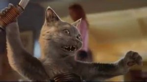 Кошки против собак