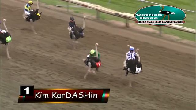 ЗАБЕГ НА СТРАУСАХ смотреть онлайн