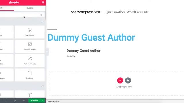 Create a Guest Author Archive Template using Elementor Pro смотреть онлайн
