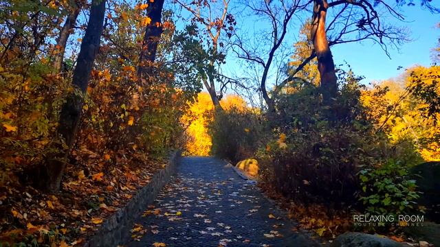 Осеннее утро в 4K Ultra HD Виртуальное путешествие по осеннему парку смотреть онлайн