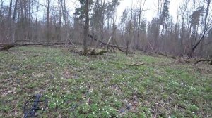 Весенние находки с интроник..