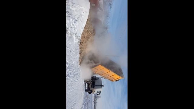 Закупили корм для коров на зиму. Свекольный жем. смотреть онлайн