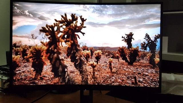 Aorus CV27Q 2K test смотреть онлайн