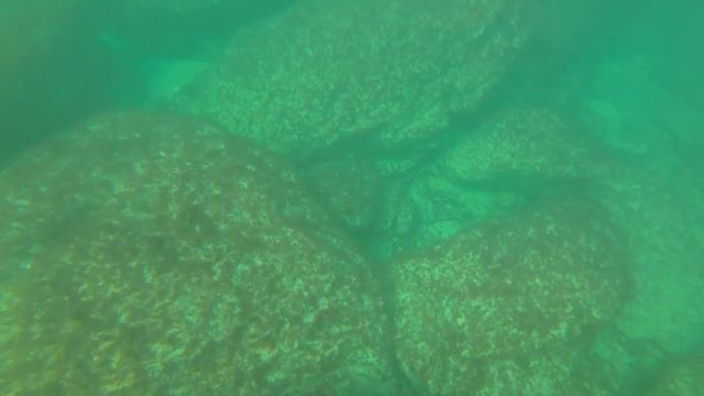 5-15мкр. 01.11.2018г. Подводная охота. Каспийское море Актау. смотреть онлайн