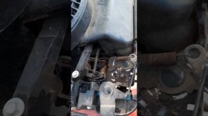 Пружины на тарпане