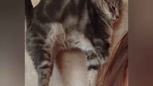 А кто теперь кому не пара, Володенька!🤣🤣🤣 смотреть онлайн