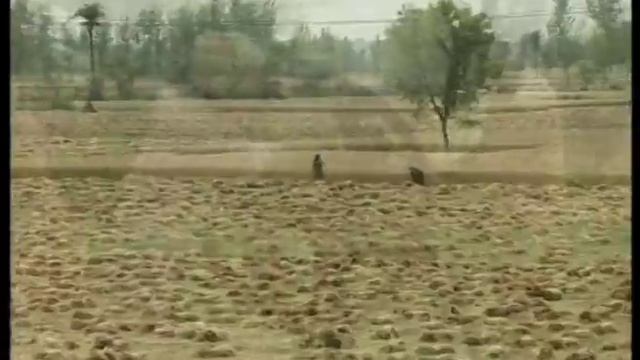 Неделимое единство I смотреть онлайн