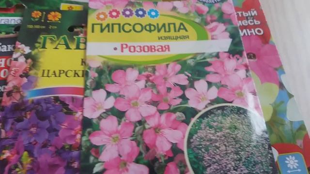 Что посеять в феврале 2ч смотреть онлайн