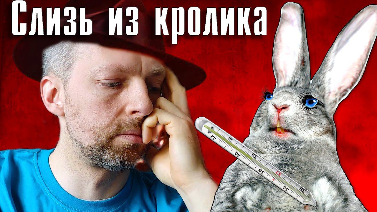 Из кролика выходит слизь... смотреть онлайн