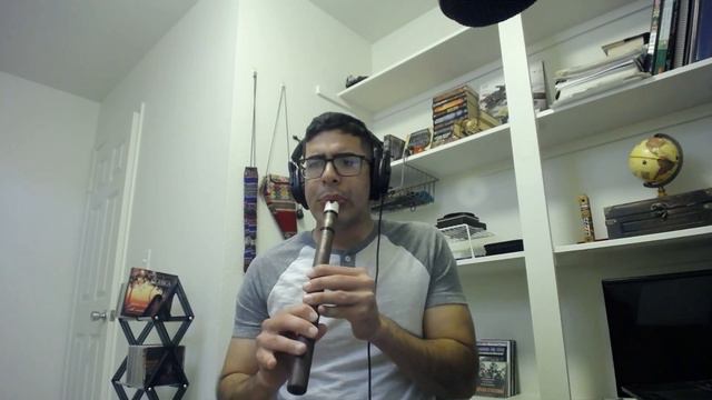 Bach Flute Sonata #4 in C - Tin Whistle - Quena - Alan Santiago смотреть онлайн