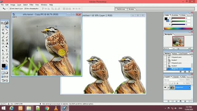 Lasso Tool || How to use Lasso Tool in Photoshop - Tamil смотреть онлайн