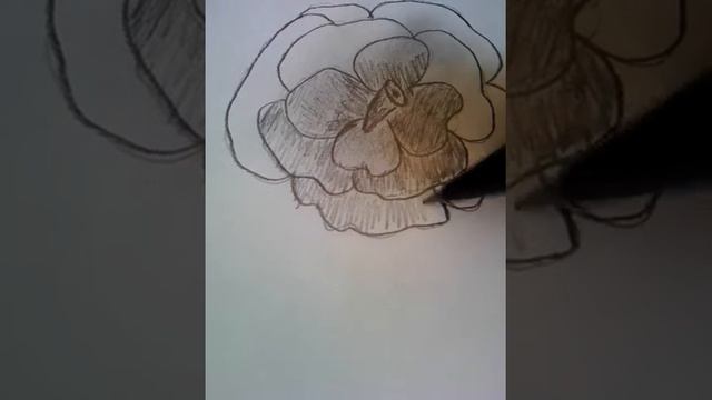 Как нарисовать розу за15 минут смотреть онлайн