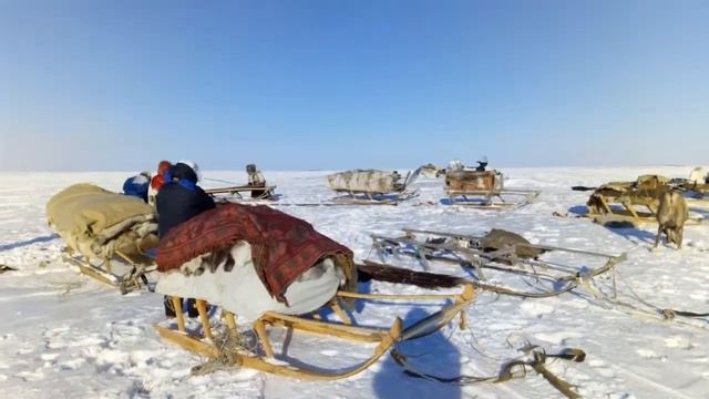 Хроники отчаянных итальянцев смотреть онлайн