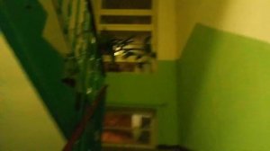 Обзор подъезда в 5-этажке