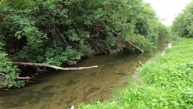 ЛАЙТ СПИННИНГ НА Р.БОЛЬШОЙ ИРГИЗ/ЛОВЛЯ ХИЩНИКА/РЫБАЛКА НА СПИННИНГ/ЛОВЛЯ ЩУКИ,ГОЛАВЛЯ,ОКУНЯ/ЛЕТО2023 смотреть онлайн