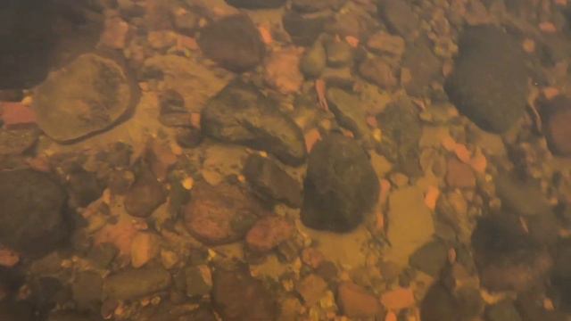 ВОДЫ МНОГО - БЛЁСЕН МАЛО. ПЕРВЫЙ СБОР БЛЁСЕН. "THERE IS A LOT OF WATER - THERE ARE FEW SPINNERS. смотреть онлайн