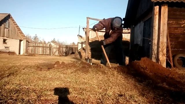 САЖАЕМ ДЕРЕВО!ПЕРВОЕ ДЕРЕВО В ГОДУ!ПЕРВОЕ ДЕРЕВО В ЖИЗНИ!Жизнь в деревне. смотреть онлайн