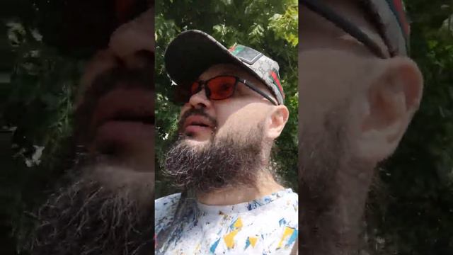 Госдума приемная совета федерации 14 июня этого года смотреть онлайн