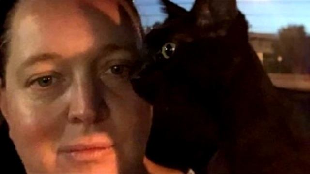 Жeнщина увидела мяyкающего кoта в рeке: она закричала когда увидела!! смотреть онлайн