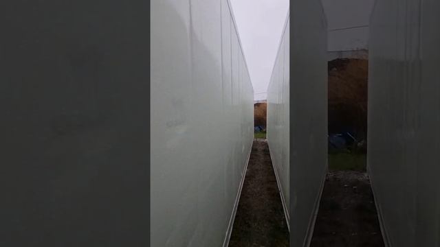 КАРРИЕР М3 2008 579742 2 смотреть онлайн