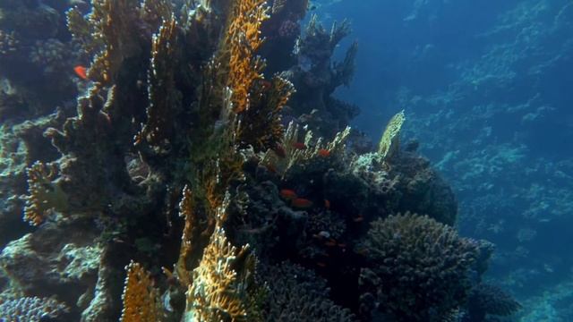 Healing Music to Reduce Stress, Fatigue, Depression, Negativity, Music Soothes the Nerves, Sleep смотреть онлайн