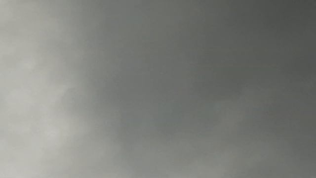 Бакинские голуби города Гянджа.15.06.23 вечерний подём смотреть онлайн