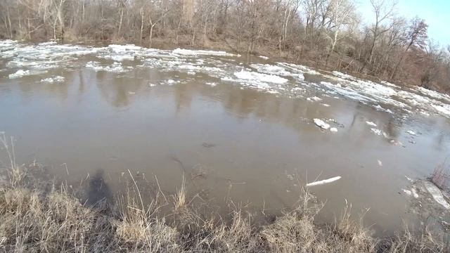 Ловля Большой Рыбы