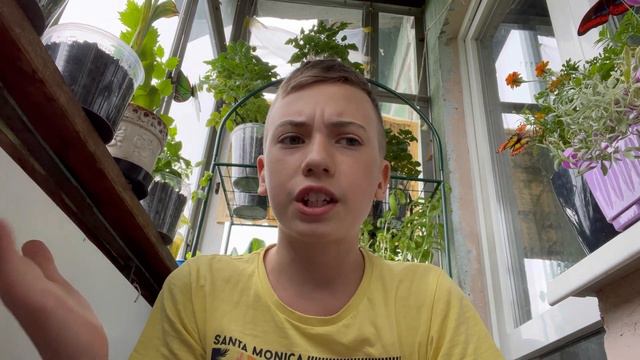 ОГОРОД НА ПОДОКОННИКЕ! ВСЁ О ЕГО ВЫРАЩИВАНИИ! смотреть онлайн