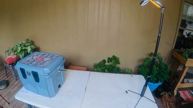 Unboxing Jonny Bass 100 accessories смотреть онлайн