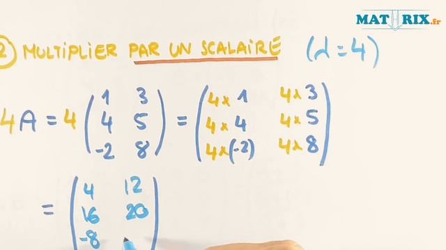 Opérations sur les Matrices - Addition, Multiplication par un Scalaire et Transposée - Mathrix смотреть онлайн