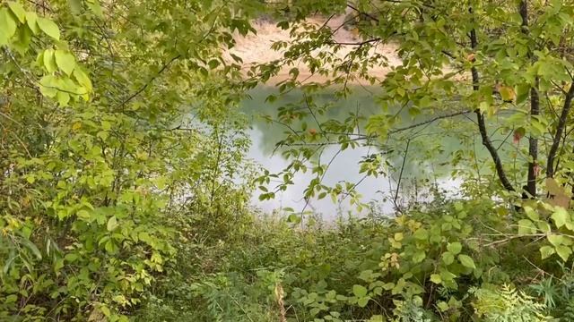 26.08.23. На этно фестивале Крутушка. Прогулка вдоль реки Казанка. Татарстан.￼ смотреть онлайн