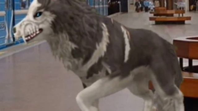 людям нельзя ни за что доверять // wcmv // iki (перезалив) смотреть онлайн